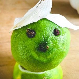 Meet your Posher, Alice